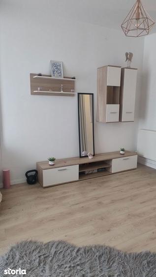 Apartament cu 2 camere în Lumina