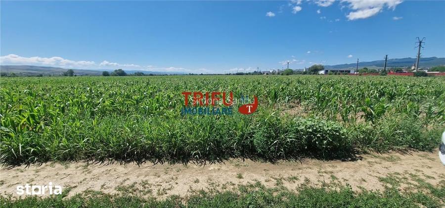 Teren de vanzare langa soseaua de centura, 5100 mp
