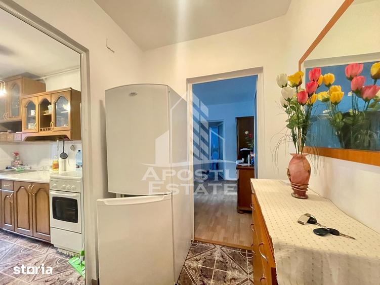 Apartament cu 2 camere semidecomandat în Șega