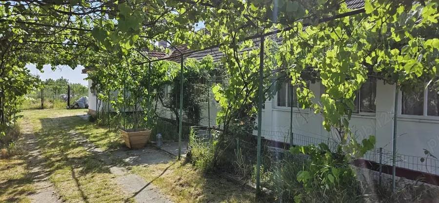 Casă cu 3 camere cu Teren 2985 Mp în Nițchidorf