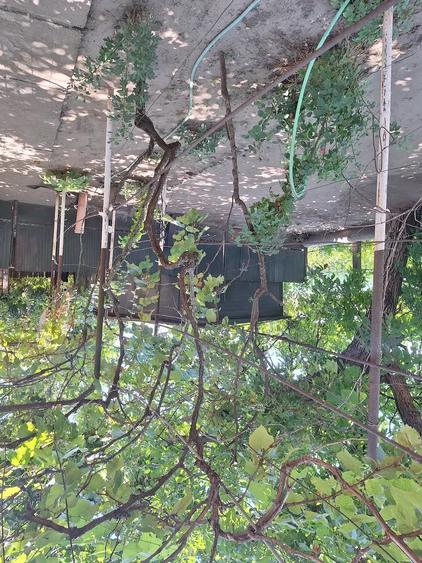 Casă cu 6 camere cu Teren 914 Mp în Poiana Mare
