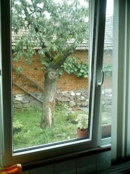 Casă cu 3 camere cu Teren 924 Mp în Rieni