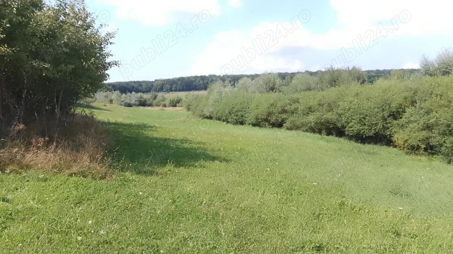 Teren de 4400 mp, în Mitocu Dragomirnei