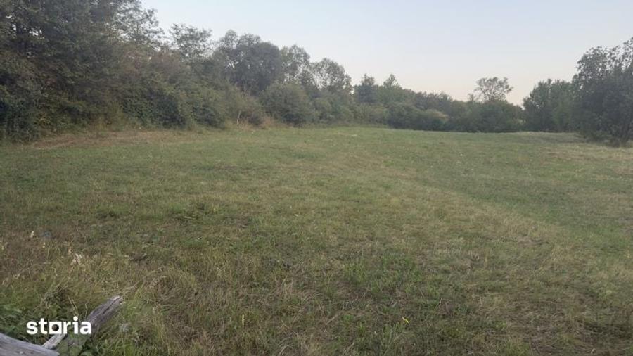 Teren de 5900 mp, în Baia de Fier