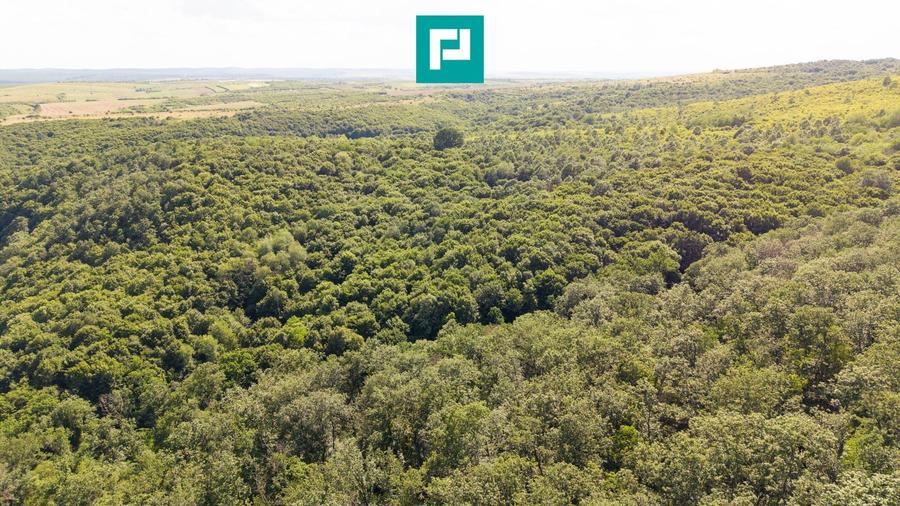 Teren agricol extravilan de 22900 mp, în Exterior Sud