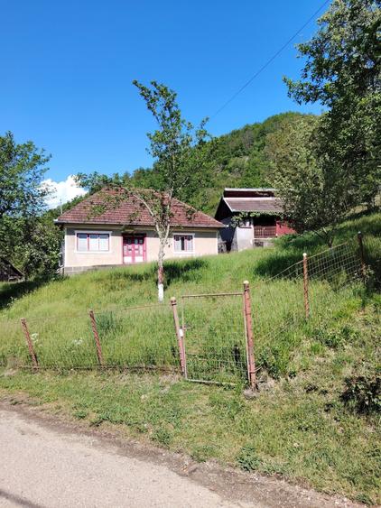 Vand casa cu teren in sat Ormindea comuna Baita - 7