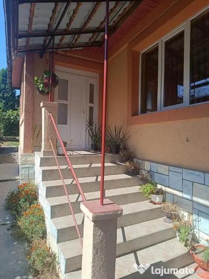 Casă cu 5 camere cu Teren 4925 Mp în Lechința