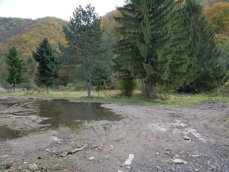 Teren Construcții intravilan de 5755 mp, în Lendt
