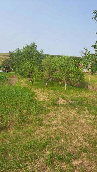 Teren de 2889 mp, în Bencecu de Jos