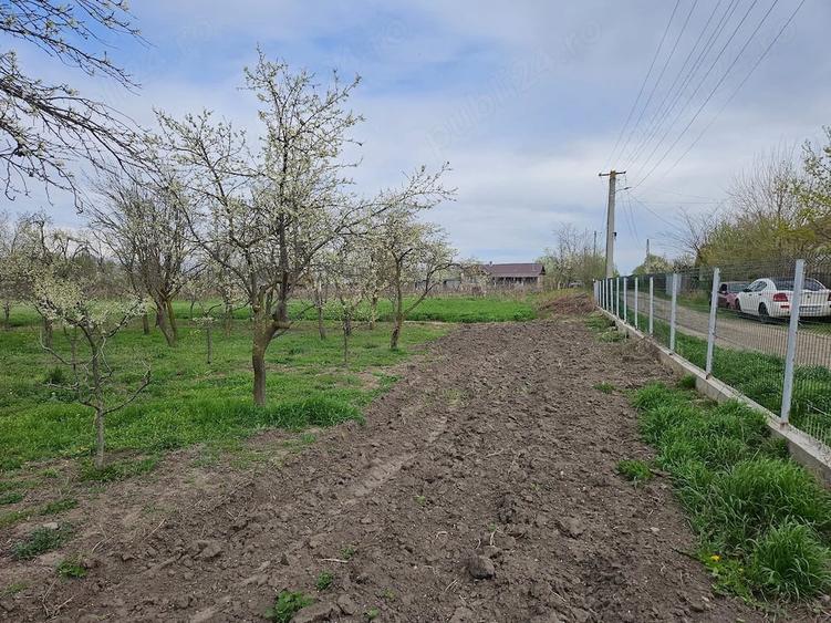 Vand 2000 mp teren intravilan ( situat intre case) in loc. Maxenu - (10 min de orasul Buzau) - 1