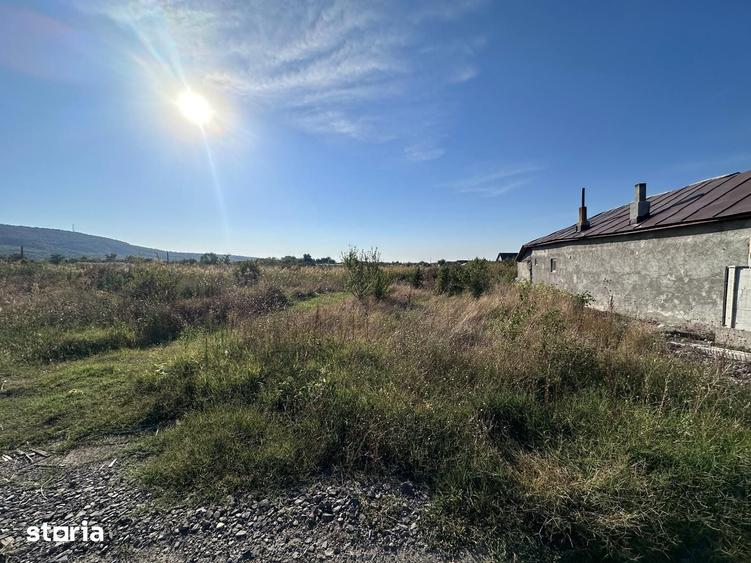 Teren de 4225 mp, în Bucșani