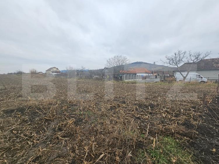 Teren agricol extravilan de 9000 mp, în Ocna Mureș