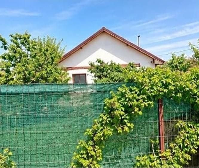 Casă cu 3 camere cu Teren 500 Mp în Bujoreni