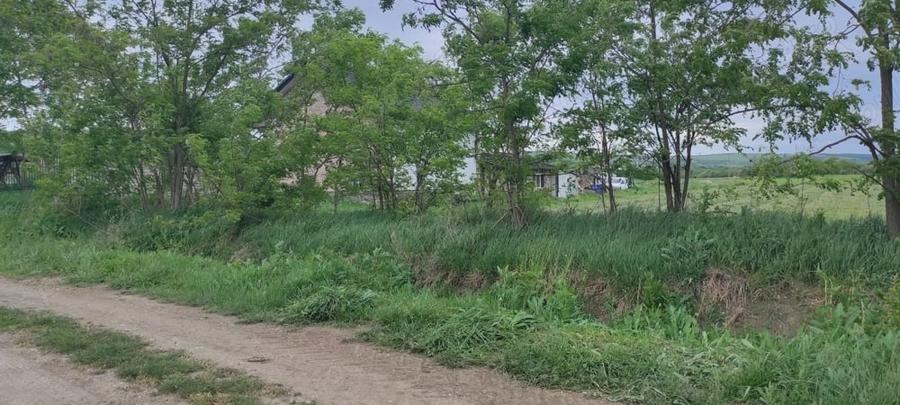 Teren de 5800 mp, în Luna
