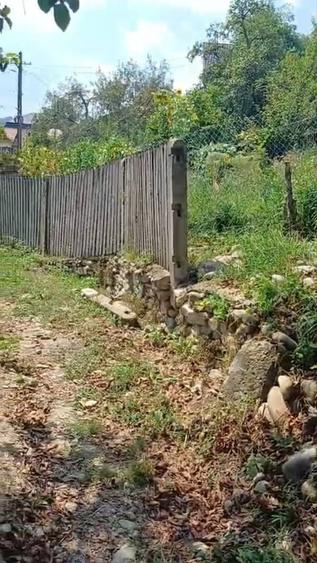 Casă în Central