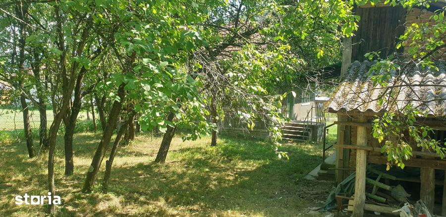 Casă cu 2 camere cu Teren 3000 Mp în Zdrapți
