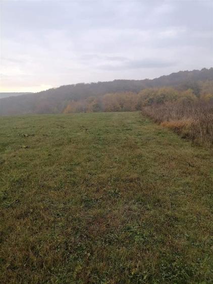 Teren Construcții intravilan de 2900 mp, în Corușu