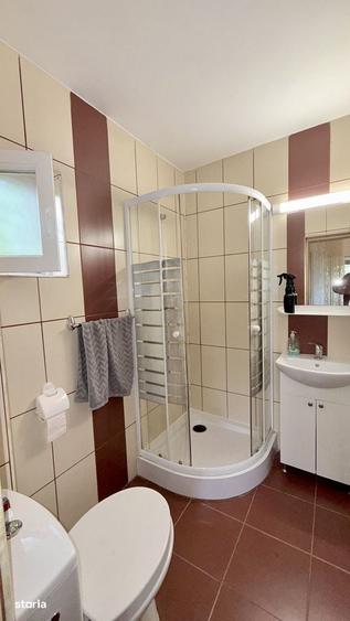 Casa P+1+M in Vladesti 5 Dormitoare, 5 Bai, 274 mp, Zona Linistita - 2