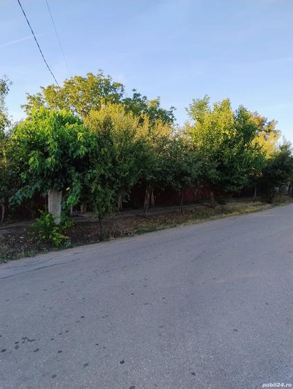 Casă cu 4 camere în Izvoarele