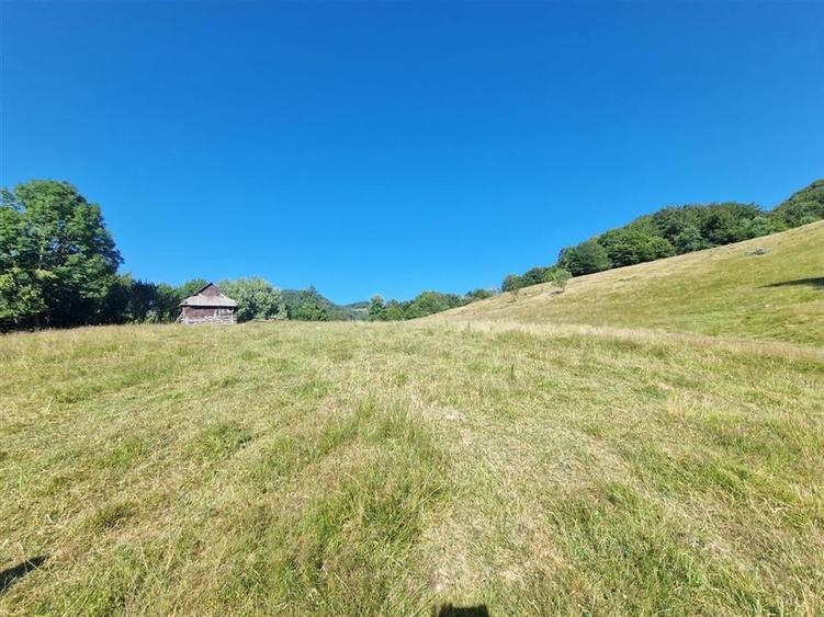 Teren Construcții intravilan de 31258 mp, în Remeți