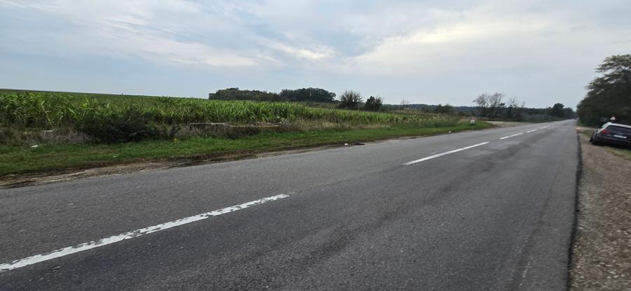 Teren agricol extravilan de 18000 mp, în Boțârlău