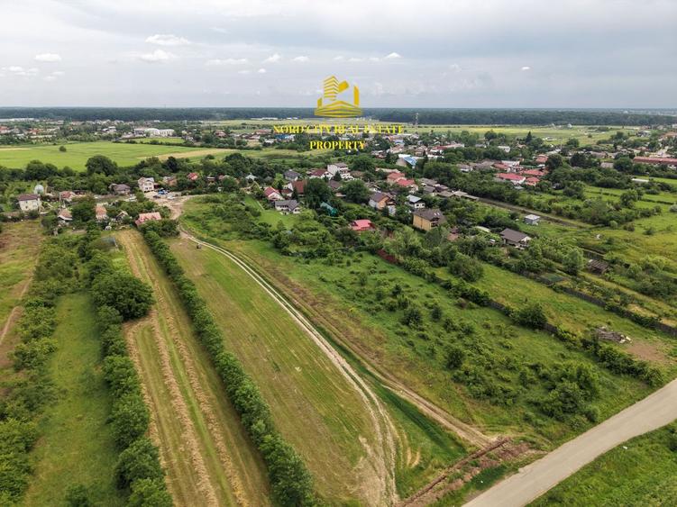 Teren Construcții intravilan de 3114 mp, în Ciolpani