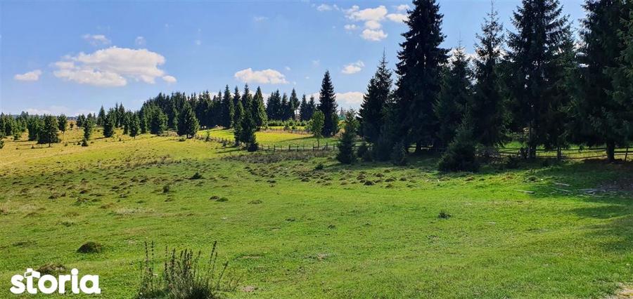 Teren de 1350 mp, în Beliș