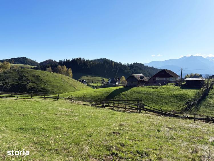Teren intravilan, 8400 mp, comuna Fundata, zona Bran-Moeciu, Brasov - 4
