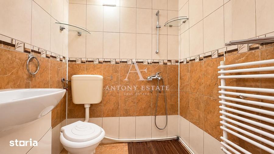 Antony Estate | Ciorogariu Residence, Ultracentral, Roman Ciorogariu, - 16