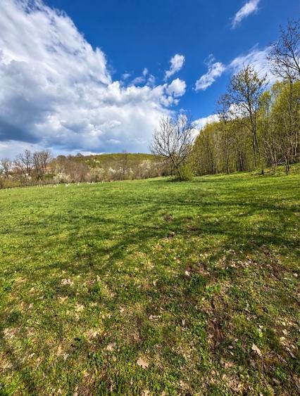 Teren de 1800 mp, în Tisău