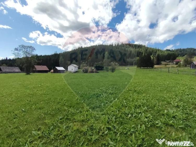 Teren de 14318 mp, în Paltin