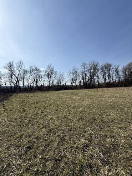 Teren de 6000 mp, în Bizușa-Băi