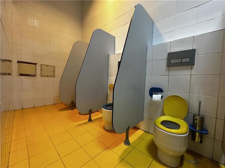 Spatiu comercial  de inchiriat  Pacurari, - 18