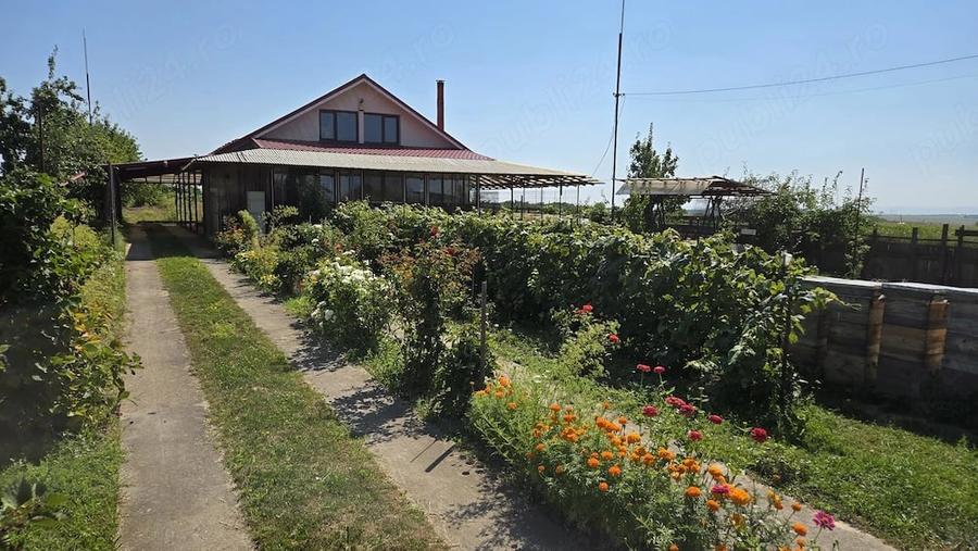 Casă cu Teren 6000 Mp în Racova