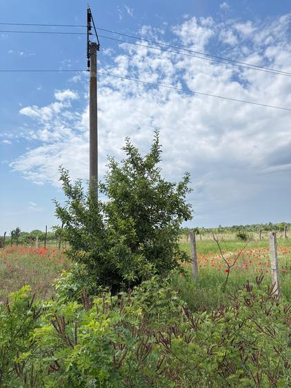 Teren agricol intravilan de 3450 mp, în Giulești Sârbi