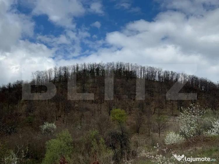 Teren de 19100 mp, în Central