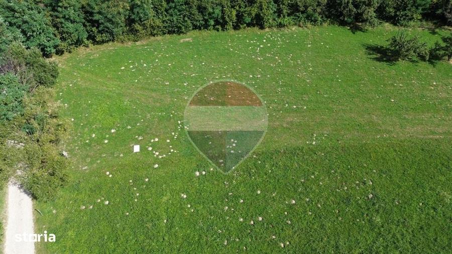 Teren 3,000mp Predelut / Strada Pe Tarina - 8