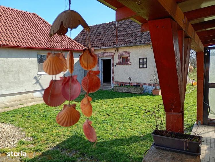 Casa in Cheriu + o casa restaurata cu 1277mp livada si gradina - 10