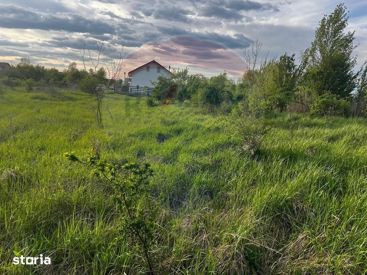 Teren de 525 mp, în Domnești