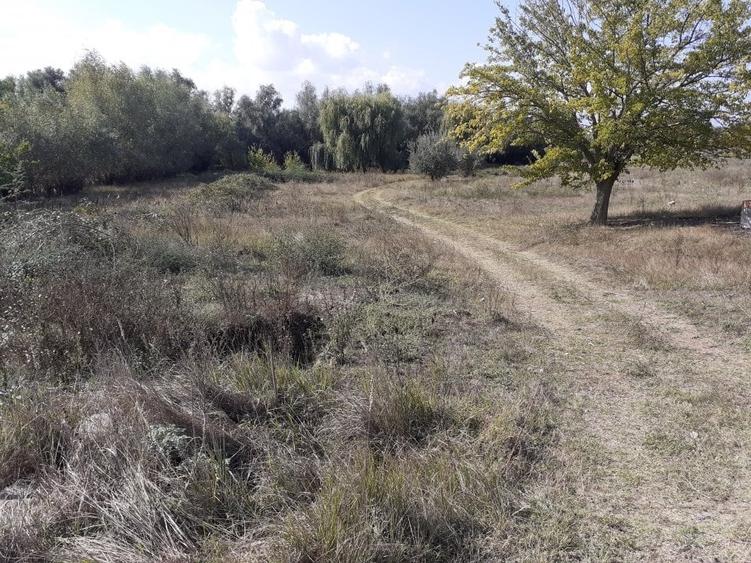 Teren Construcții intravilan de 3269 mp, în Central