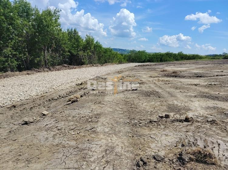 Teren Construcții intravilan de 655 mp, în Proselnici