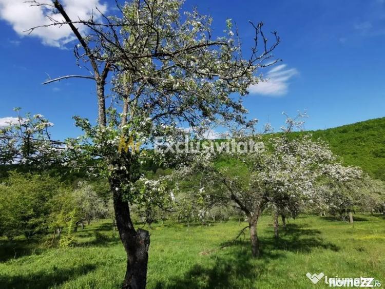 Teren în Budeasa