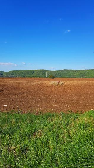 Teren de 2500 mp, în Bănești