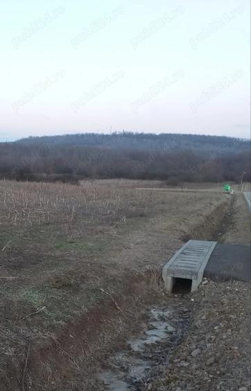 Teren de 800 mp, în Fârdea