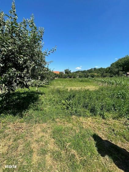 Casă cu 3 camere cu Teren 2704 Mp în Central