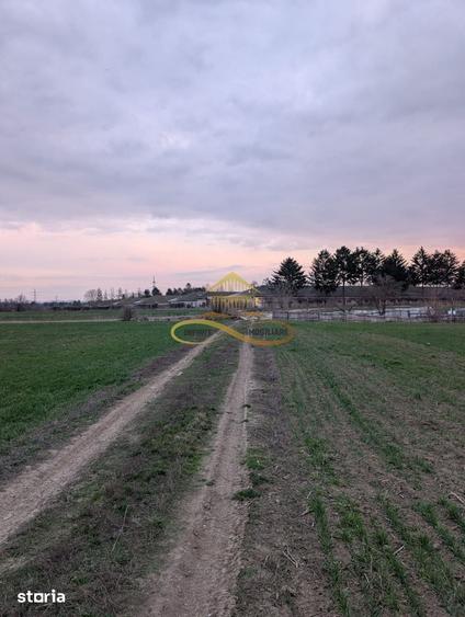 Teren de 7774 mp, în Hemeiuș