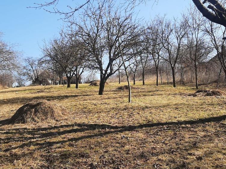 Teren Construcții intravilan de 2800 mp, în Central
