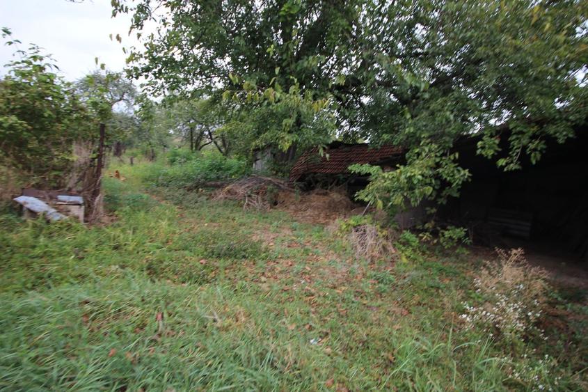 Teren Construcții intravilan de 1900 mp, în Dumbrăvița