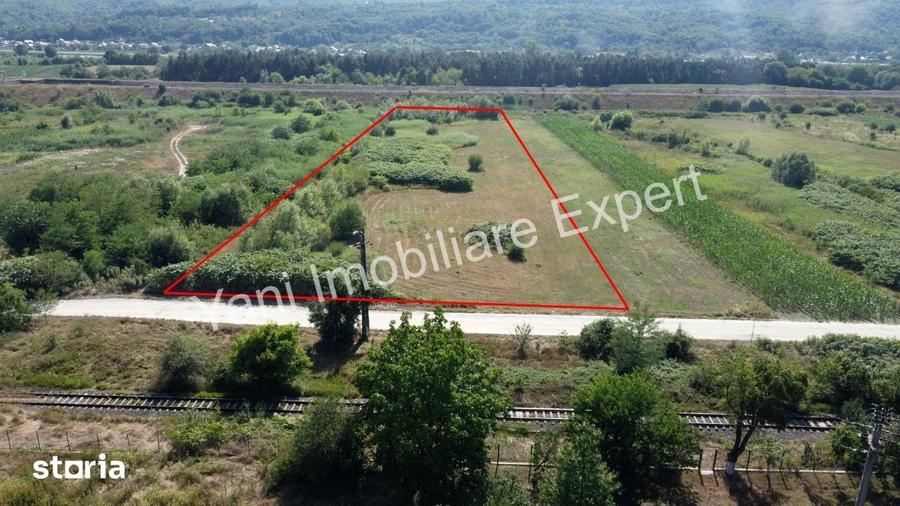 Teren de 8229 mp, în Băiculești