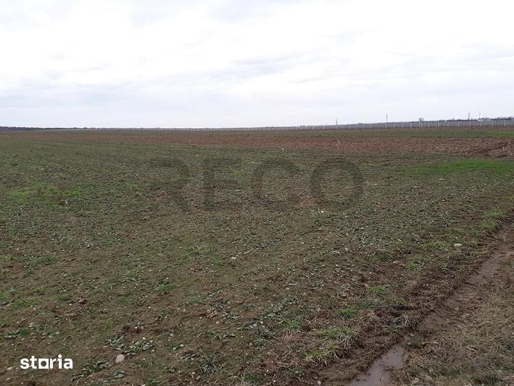 Teren de 29100 mp, în Sântandrei